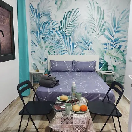 Cactus, Entrada Privada Y Bano Privado En By Flamingo House, No Fumadores Apartment